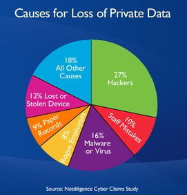 Causes for Loss of Private Data