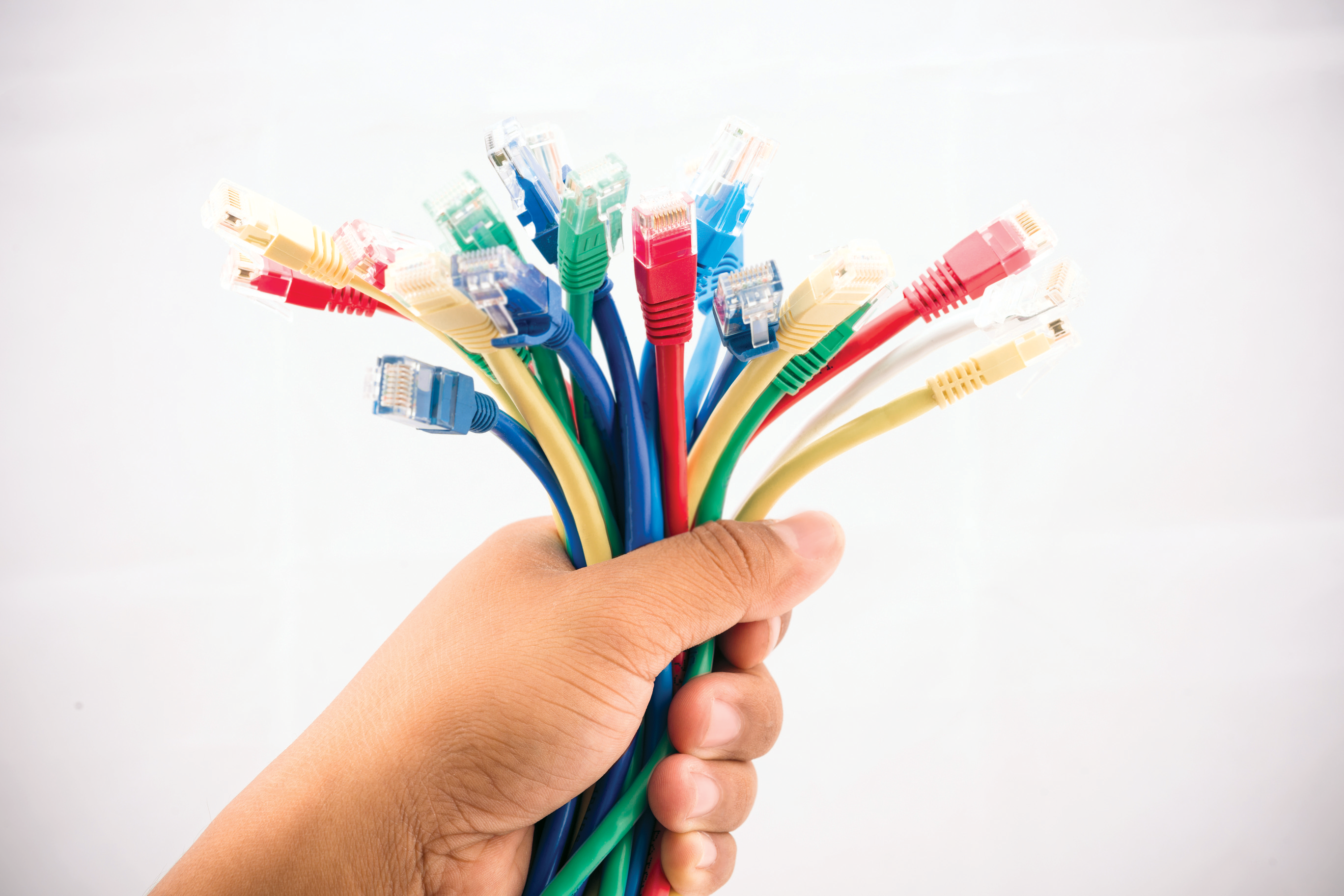 Hand holding a bundle of Ethernet cables