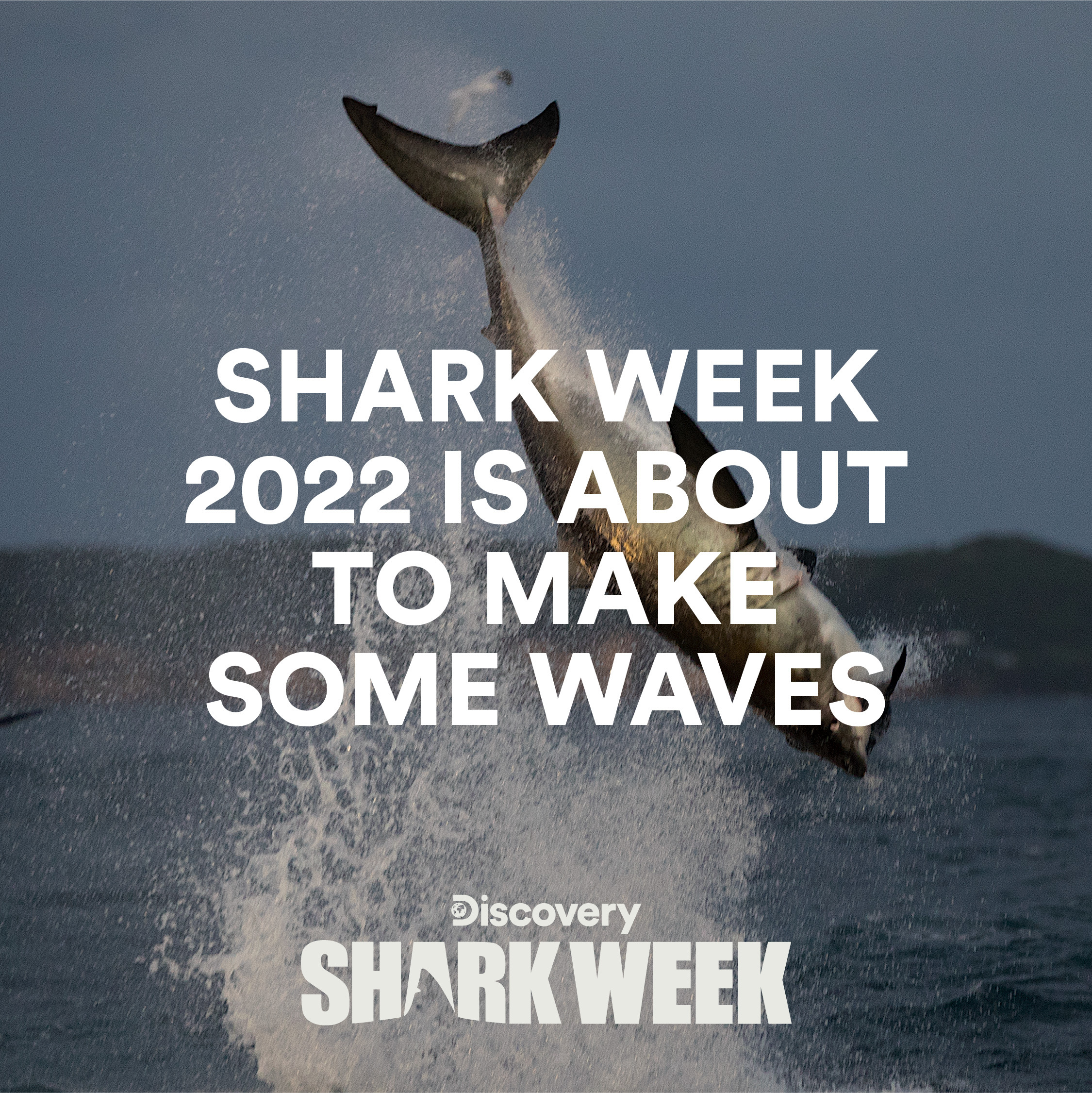 Shark Week 2022 is About to Make Some Waves
